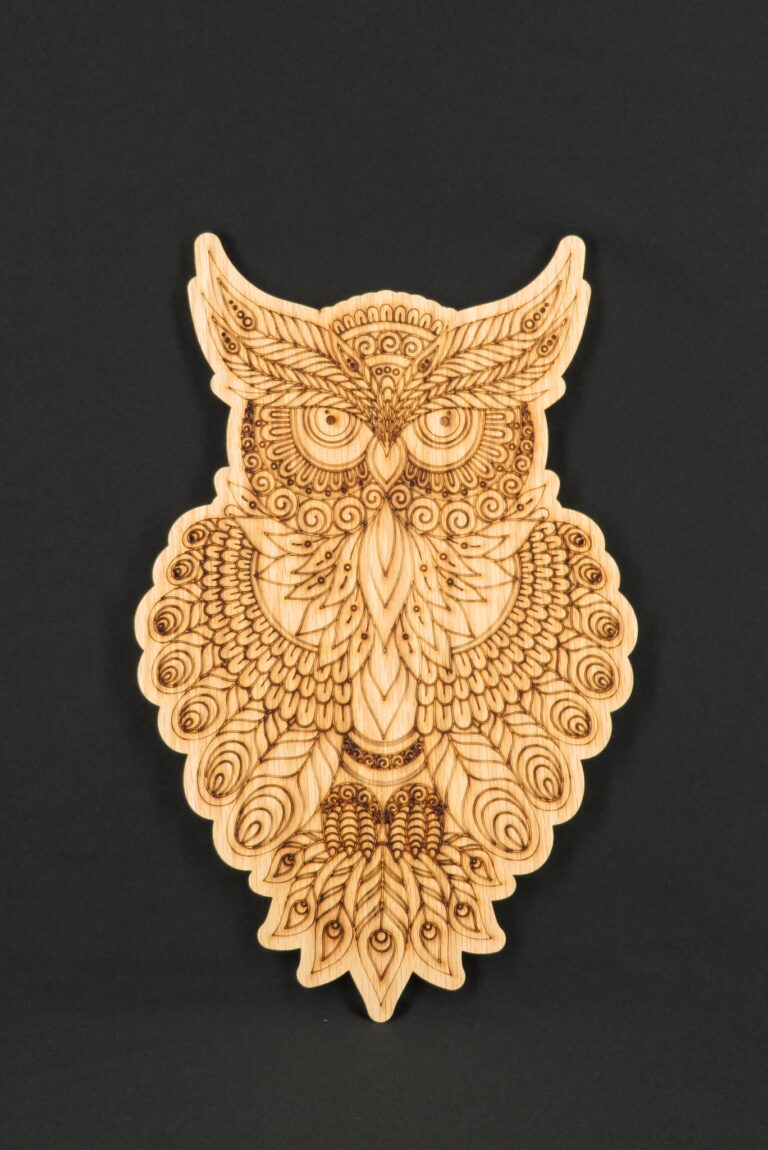 Laser Engraved Owl