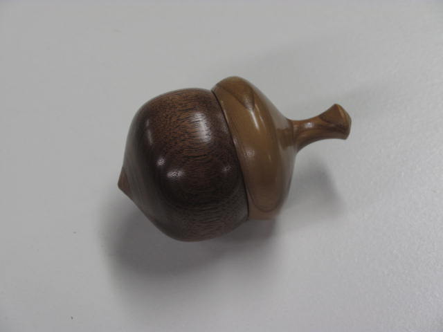 Completed Acorn